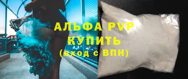 гидра Горняк